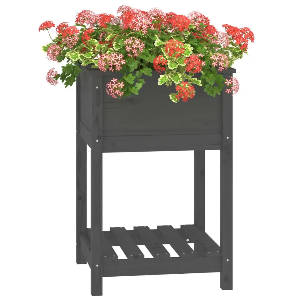 Wooden Raised Bed Planter Grey Solid Pine with Shelf 54x54x81cm