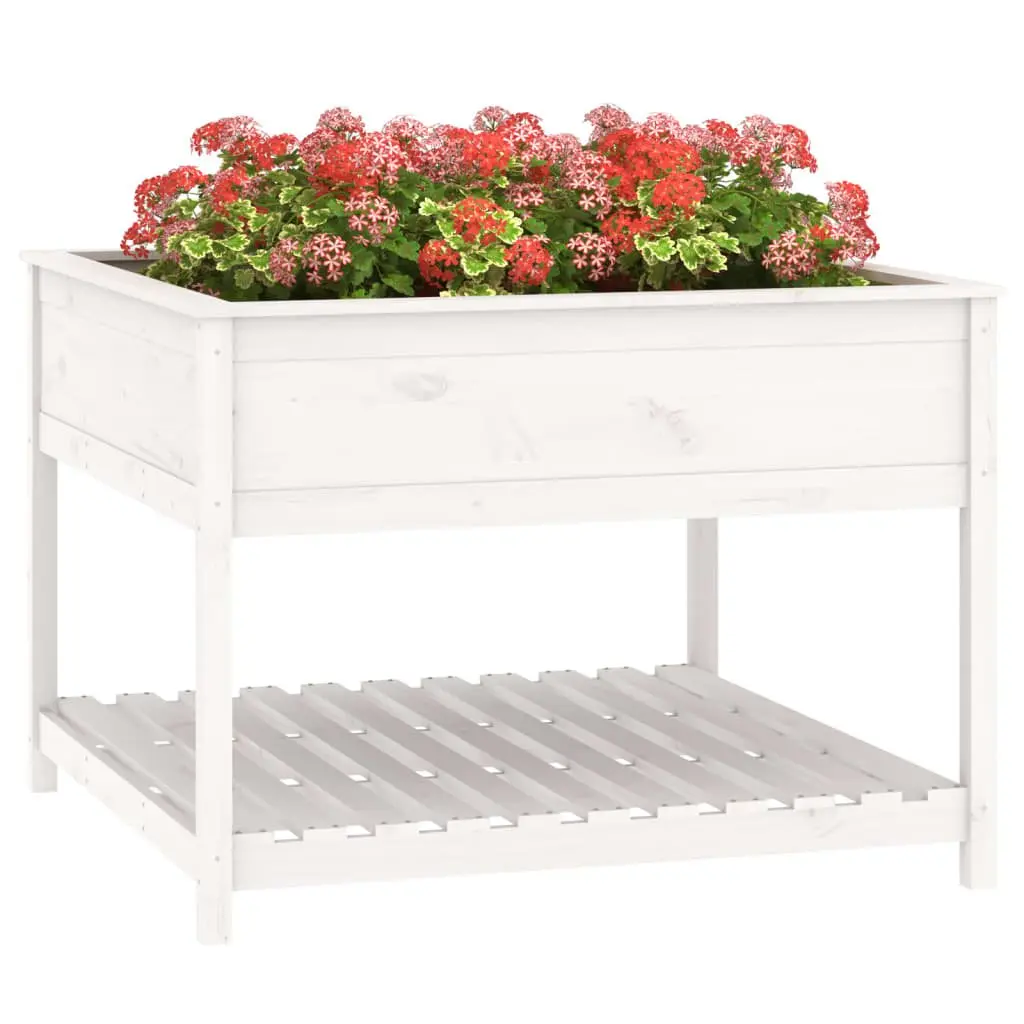 Wooden Planter Solid Pine Wood Raised Garden Flower Box with Shelf White 111.5 x 111.5 x 81 cm