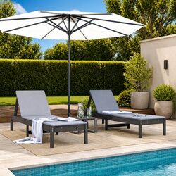 Practical Grey Sun Loungers 2 pcs for Outdoor Relaxation