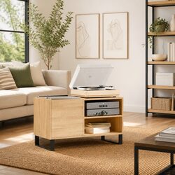 Vinyl Record Cabinet for Home Use
