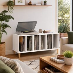 Vinyl LP Storage Cabinet for Various Settings