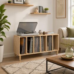 Practical Record Storage Cabinet for Home Use