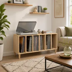 Practical Record Storage Cabinet for Home Use