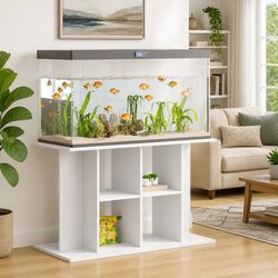 Practical 100cm Aquarium Stand for Your Fish Care Needs