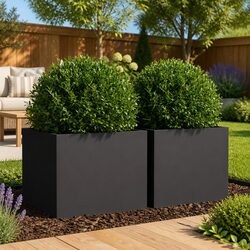 Practical Black Steel Planters 2 pcs for Your Home