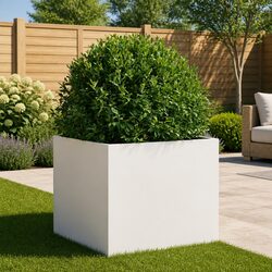 Practical Raised Planter for Any Outdoor Setting