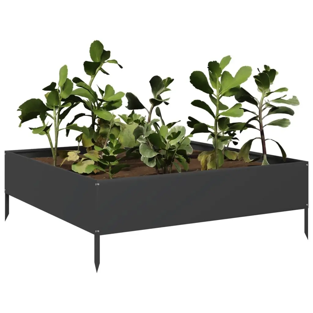 Raised Garden Bed Black Steel Outdoor Planter Flower Vegetable Box
