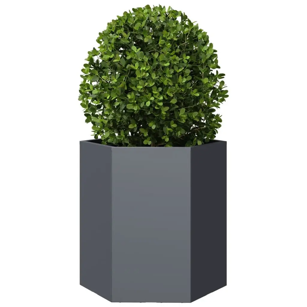 Garden Planters 2 pcs Hexagon Anthracite Raised Outdoor Flower Planter Pot