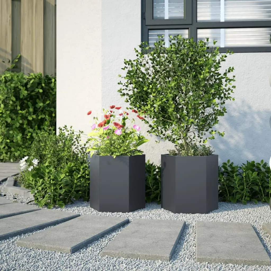 Garden Planters 2 pcs Hexagon Anthracite Raised Outdoor Flower Planter Pot