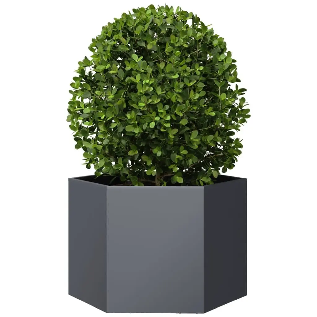 Hexagon Garden Planter Steel Raised Bed Outdoor Anthracite 69 x 60 x 45 cm