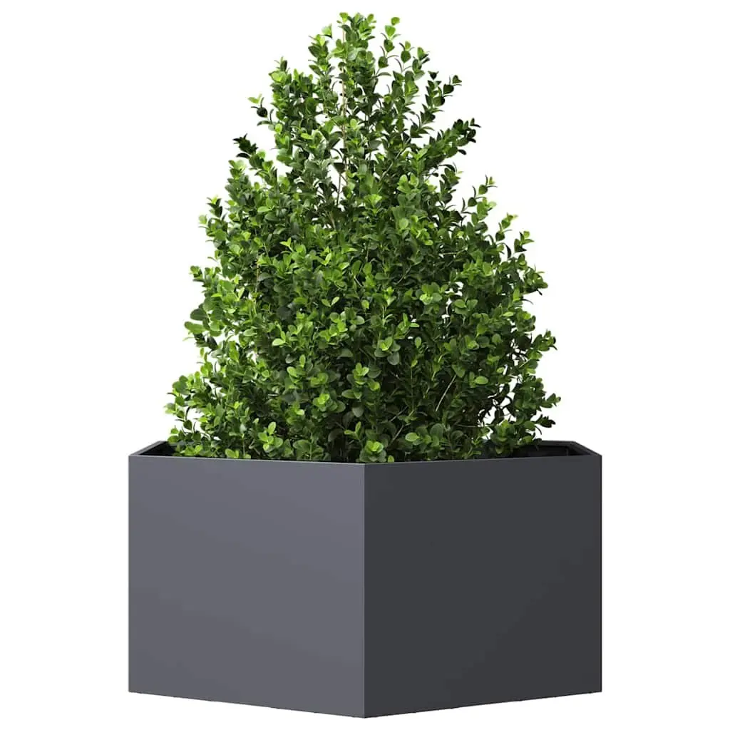 Garden Planter Hexagon Raised Bed Outdoor Flowers Plants Steel Anthracite