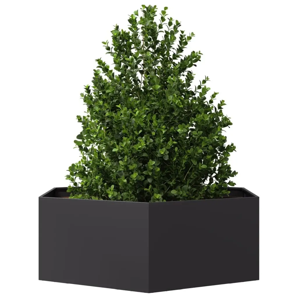 Hexagon Planter for Gardens and Patios
