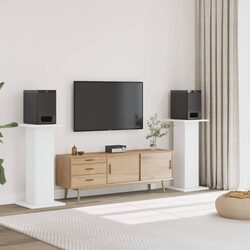 Functional Speaker Stands Pair for Home Audio 30x30x95 cm