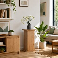 Functional Two-Tier Display Stand with Storage for Home
