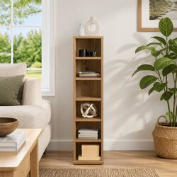 Ideal Media Storage Cabinet for Any Room