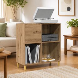 Record Cabinet for Home and Office Use