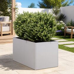 Perfect Raised Bed Planter for Gardens and Balconies