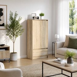 Versatile Storage Cabinet for Home Offices and Living Rooms