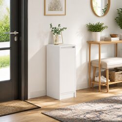 Versatile Shoe Cabinet for Everyday Use at Home