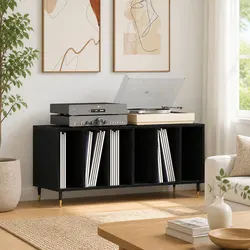 Practical Black Oak Cabinet for Vinyl Records and Decor