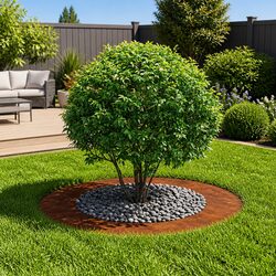 Utilize a Rusty Brown Tree Ring Planter for Your Garden