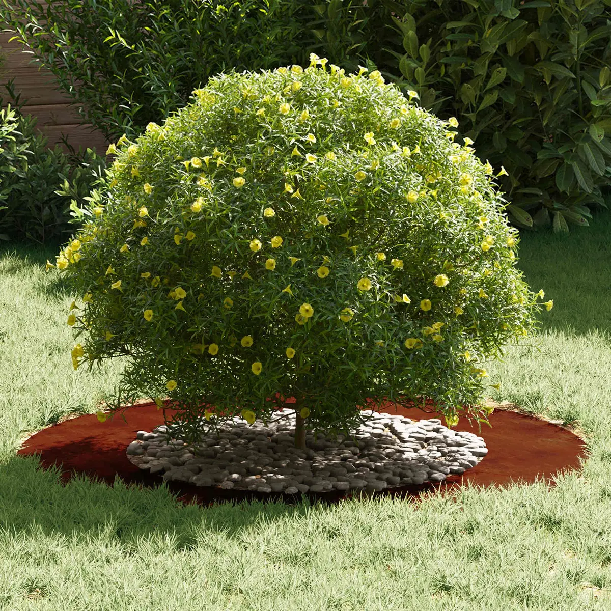 Flat Brown Tree Ring Edging Set 5 Pieces 50cm and 80cm Garden Outdoor Lawn Protective Decorative