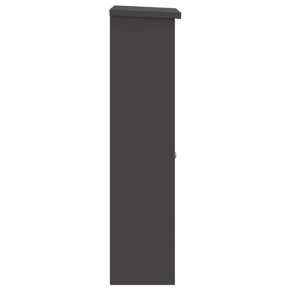 Parcel Drop Box Steel Black Outdoor Storage Hinged Doors 44.5 x 29 x 110.5 cm