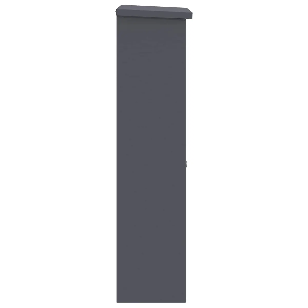 Outdoor Steel Parcel Drop Box Anthracite 44.5 x 29 x 110.5 cm with Hinged Door and Secure Deadbolt Lock