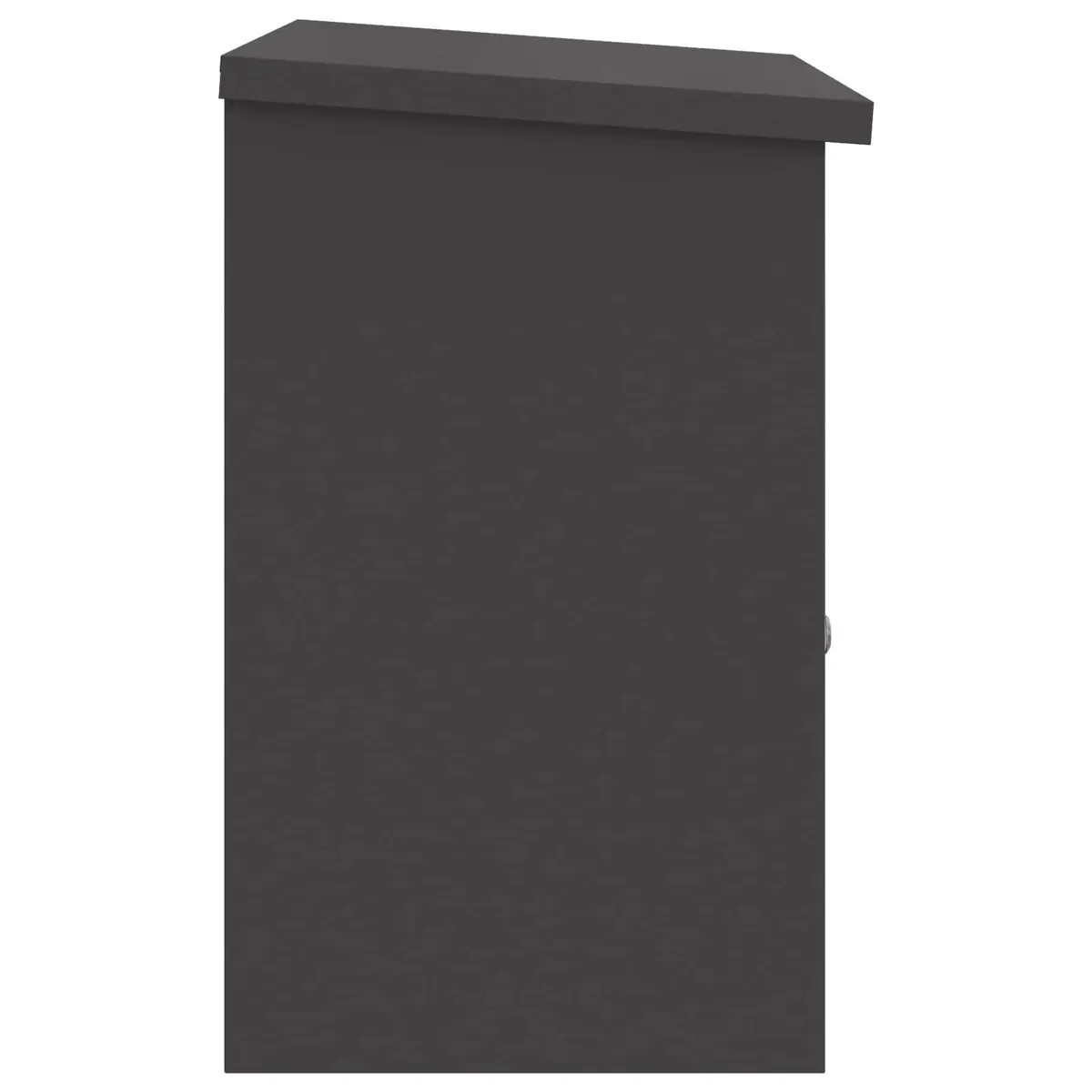 Parcel Drop Box Steel 47.5 x 38 x 59 cm Black Outdoor Mailbox