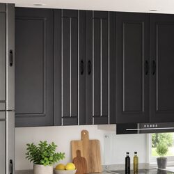 Functional Wall Cabinet for Practical Kitchen Use