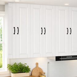 Versatile Wall Cabinet for Kitchen Storage Solutions