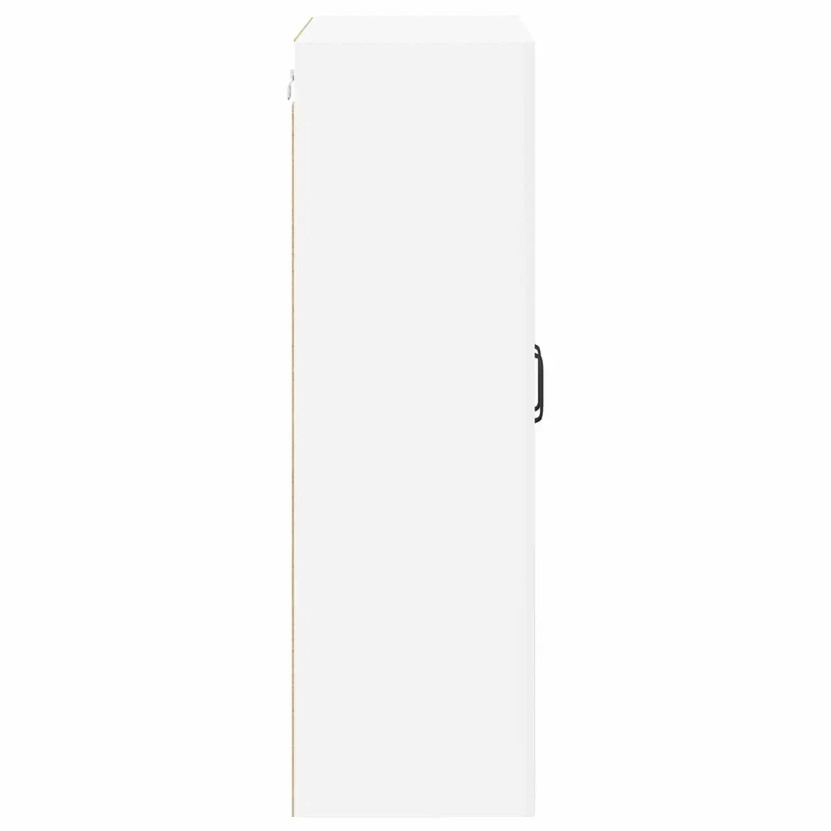 Wall-Mounted Storage Cabinet for Kitchens 60x31x100cm