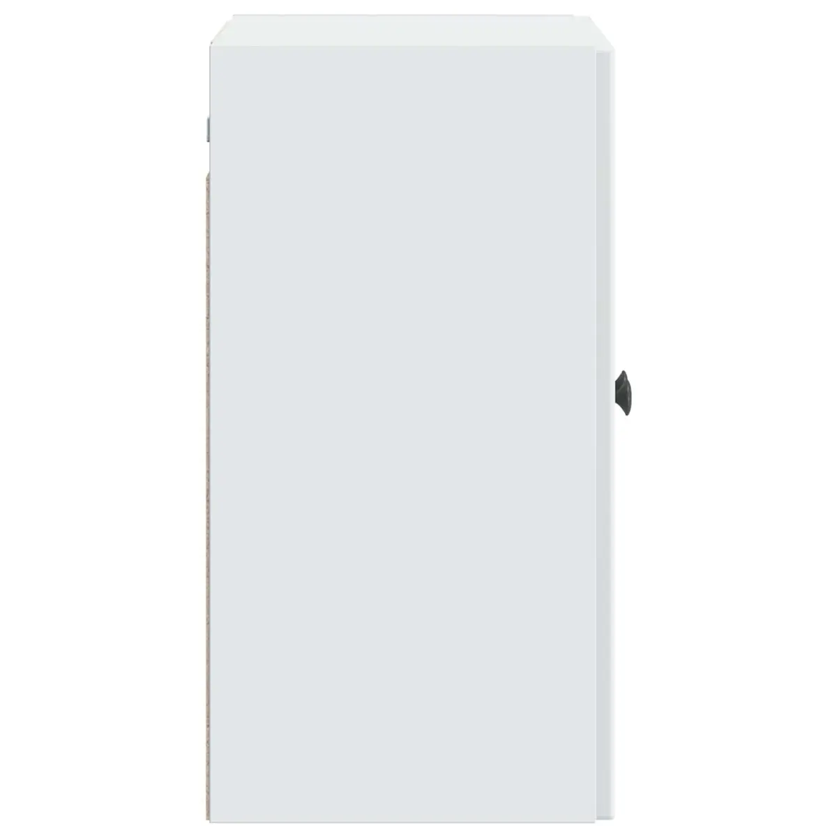 Wall-Mounted Storage Cabinet for Living Rooms & Bedrooms