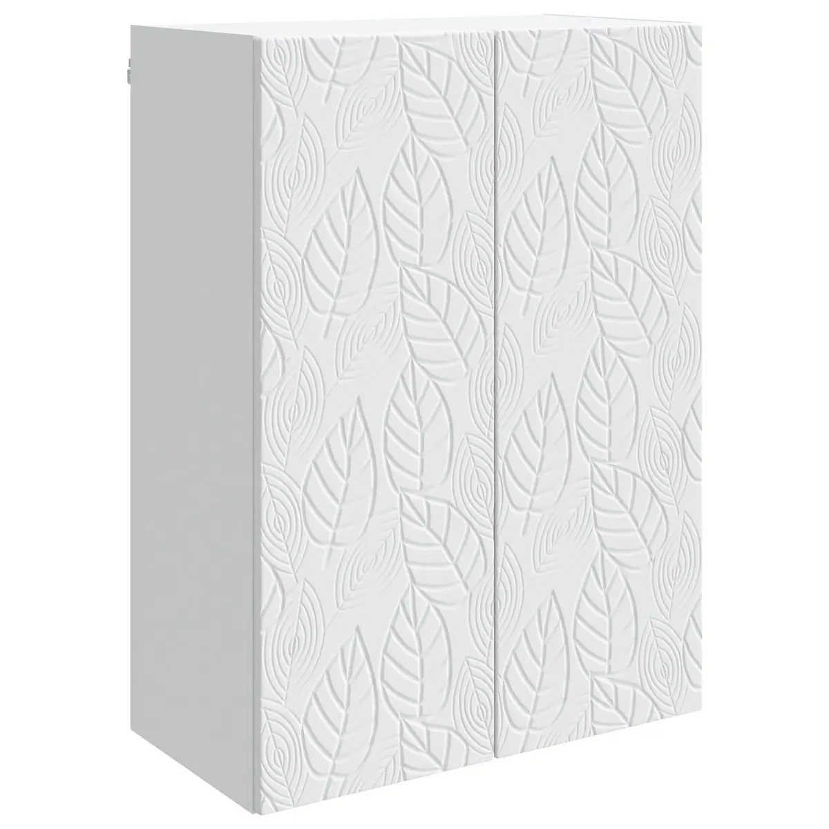 Wall-Mounted Storage Cabinet for Home Use