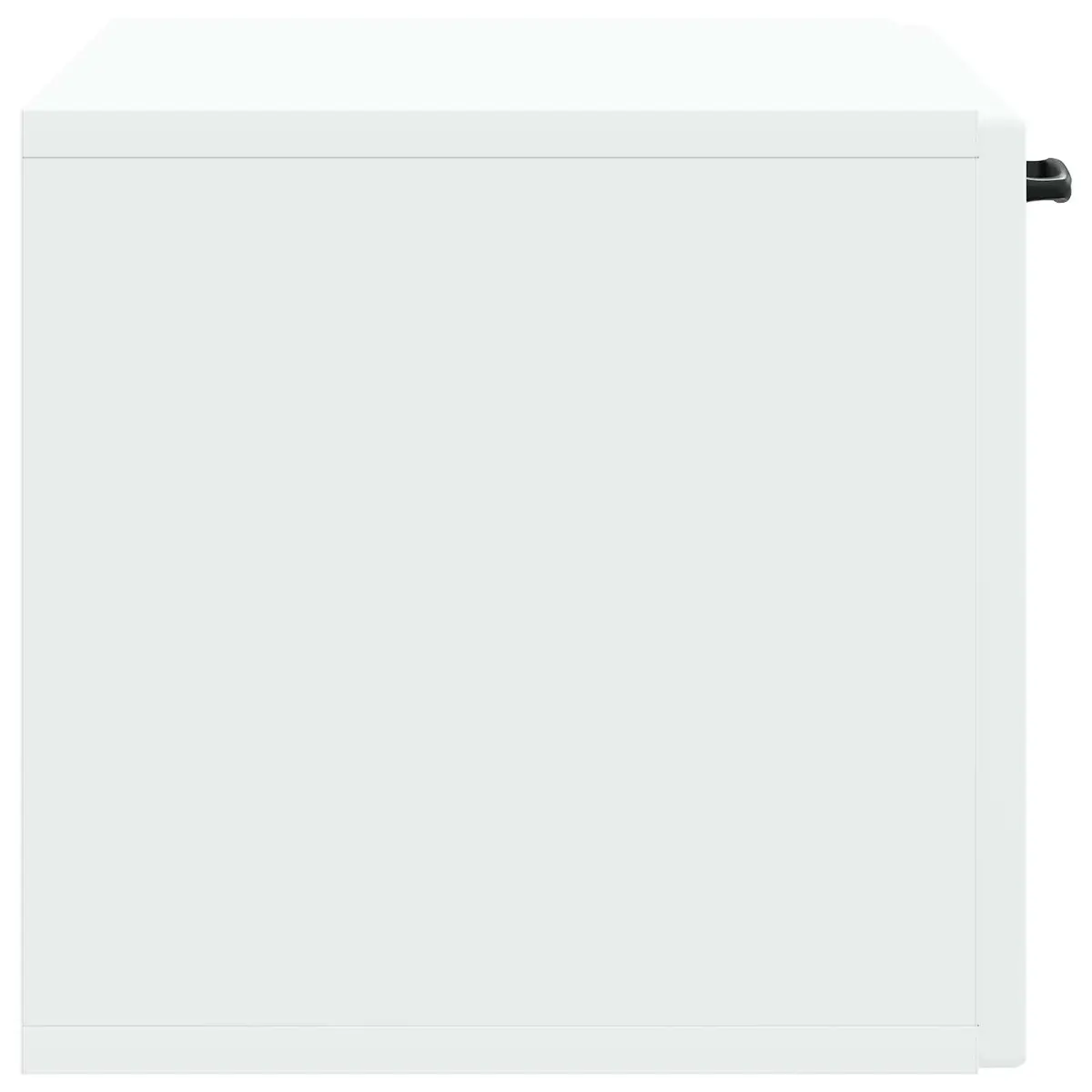 Wall-Mounted TV Cabinet White 59.5 x 31 x 30 cm Entertainment Unit Storage