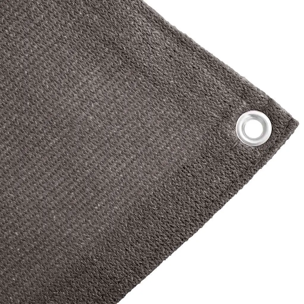Outdoor Camping Ground Sheet Rug High-Density Polyethylene 250x300 cm Anthracite Tent Carpet