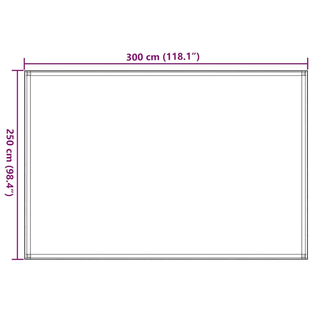 Outdoor Camping Ground Sheet Rug High-Density Polyethylene 250x300 cm Anthracite Tent Carpet