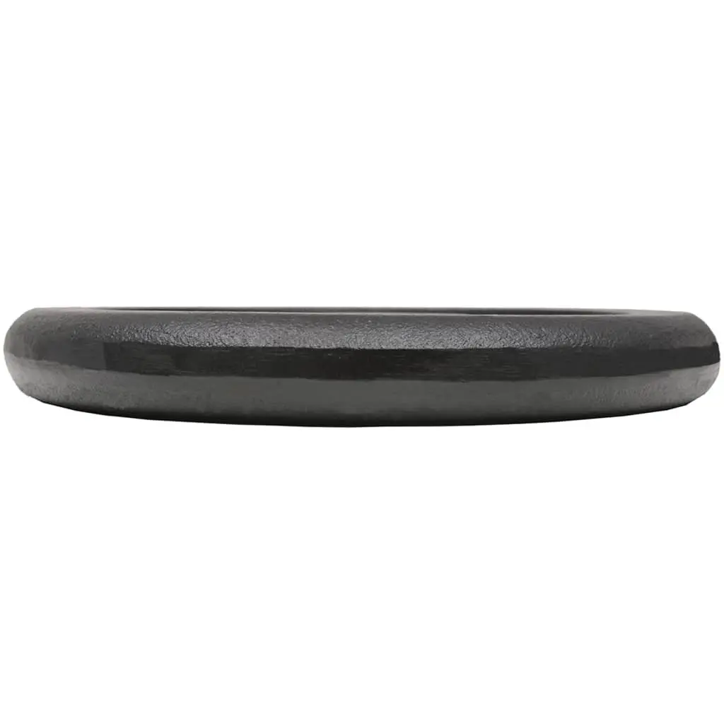 Weight Plates Cast Iron 10 kg Black