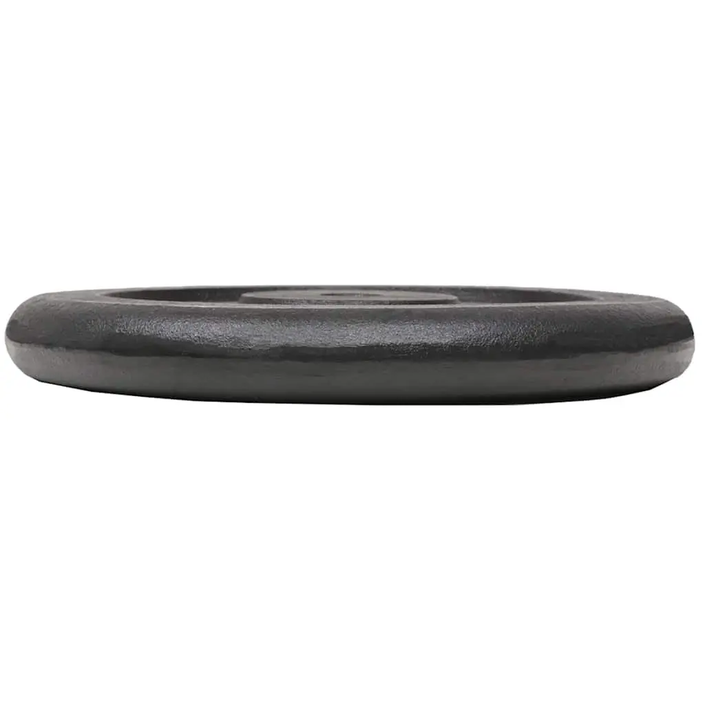 Weight Plates Cast Iron 2x20 kg Black