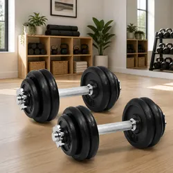 Dumbbell Set 30kg Cast Iron Weight Plates Spinlock Collars Home Gym Training