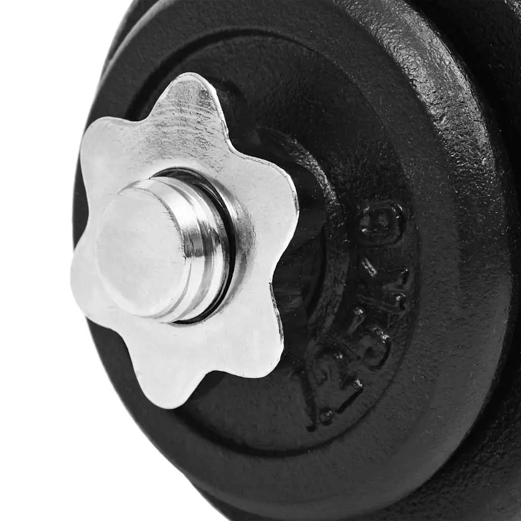 Dumbbell Set 30kg Cast Iron Weight Plates Spinlock Collars Home Gym Training
