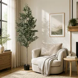 Ideal Indoor/Outdoor Olive Tree for Your Home