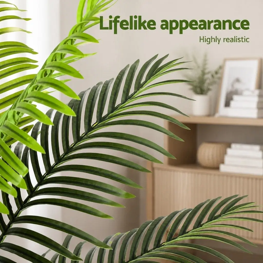 180cm Palm Tree for Indoor and Outdoor Decor