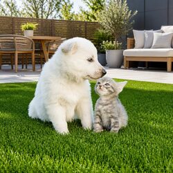 Practical Uses for 2M x 5M Olive Green Artificial Grass