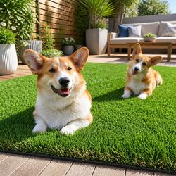 Versatile Synthetic Turf for Any Outdoor Setting