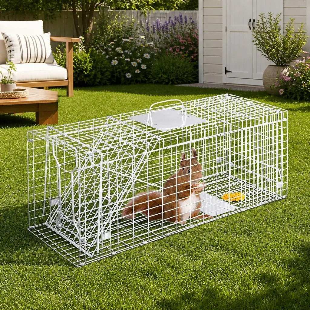Humane Animal Trap Cage Collapsible Silver 79x28cm with Spring Door for Live Capture