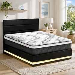 Versatile Queen Bed Frame & Mattress for Every Home