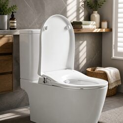 Non-Electric Bidet Toilet Seat D-Shape Dual Nozzle Soft Close Quick Release DIY