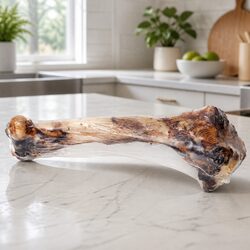 Perfect Chewing Solution: Natural Lamb Bone Dog Treat