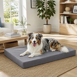 Practical Orthopedic Dog Bed for Everyday Use